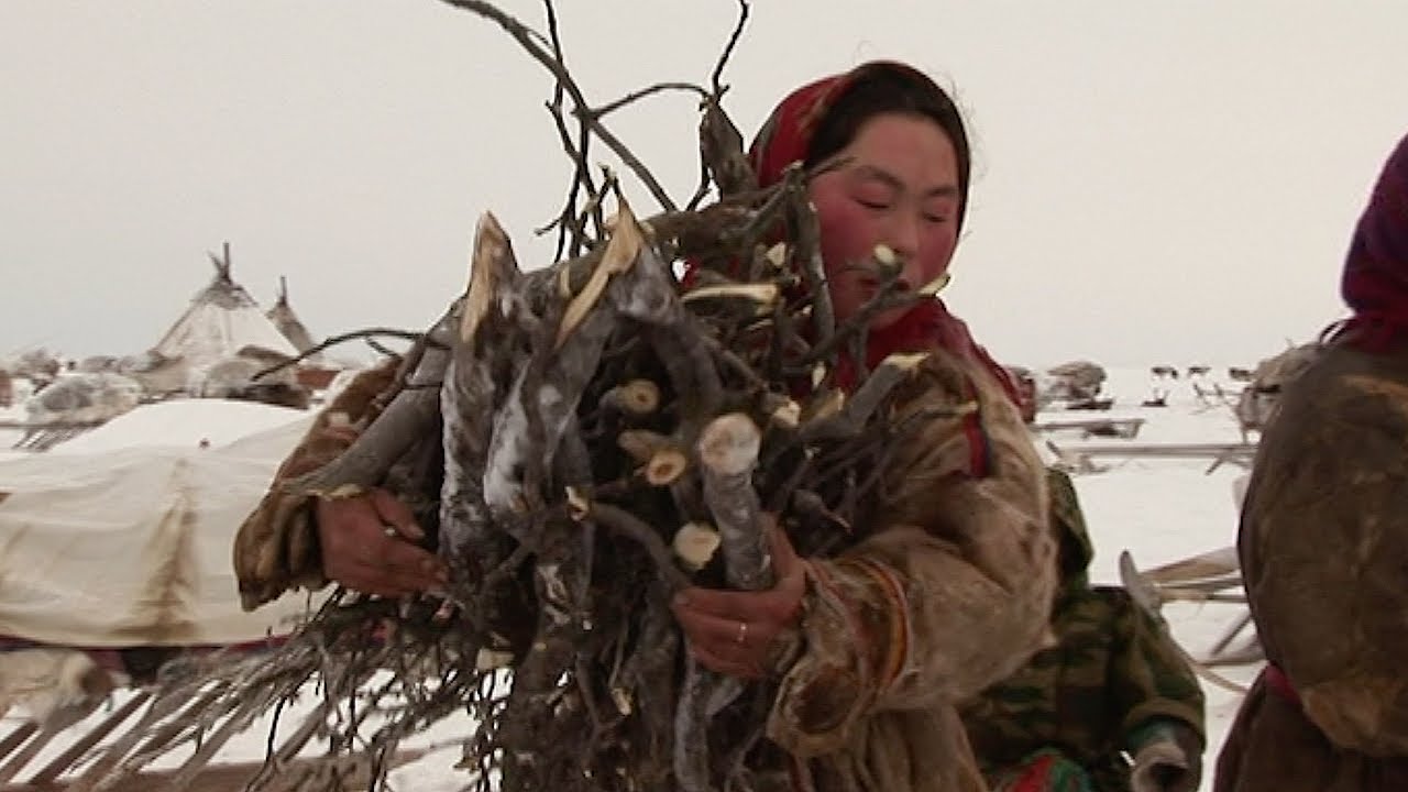 Experiencing Nenet Life On The Frozen Tundra - Tribe With Bruce Parry 
