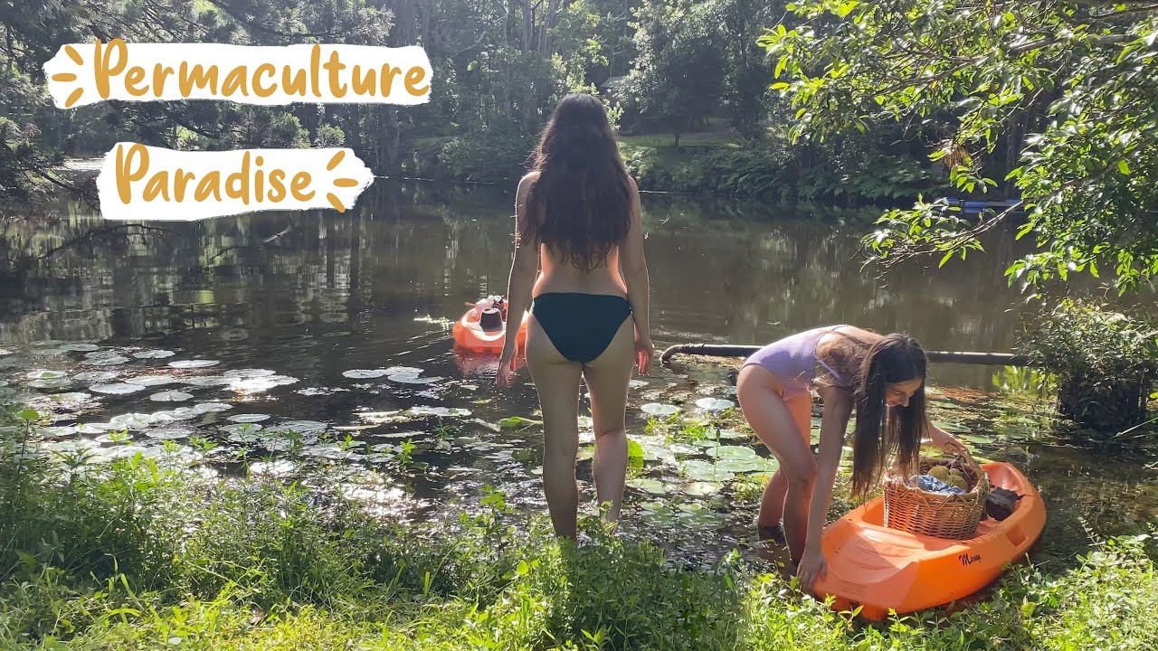 canoeing to a hidden orchard ın our magical permaculture food forest!