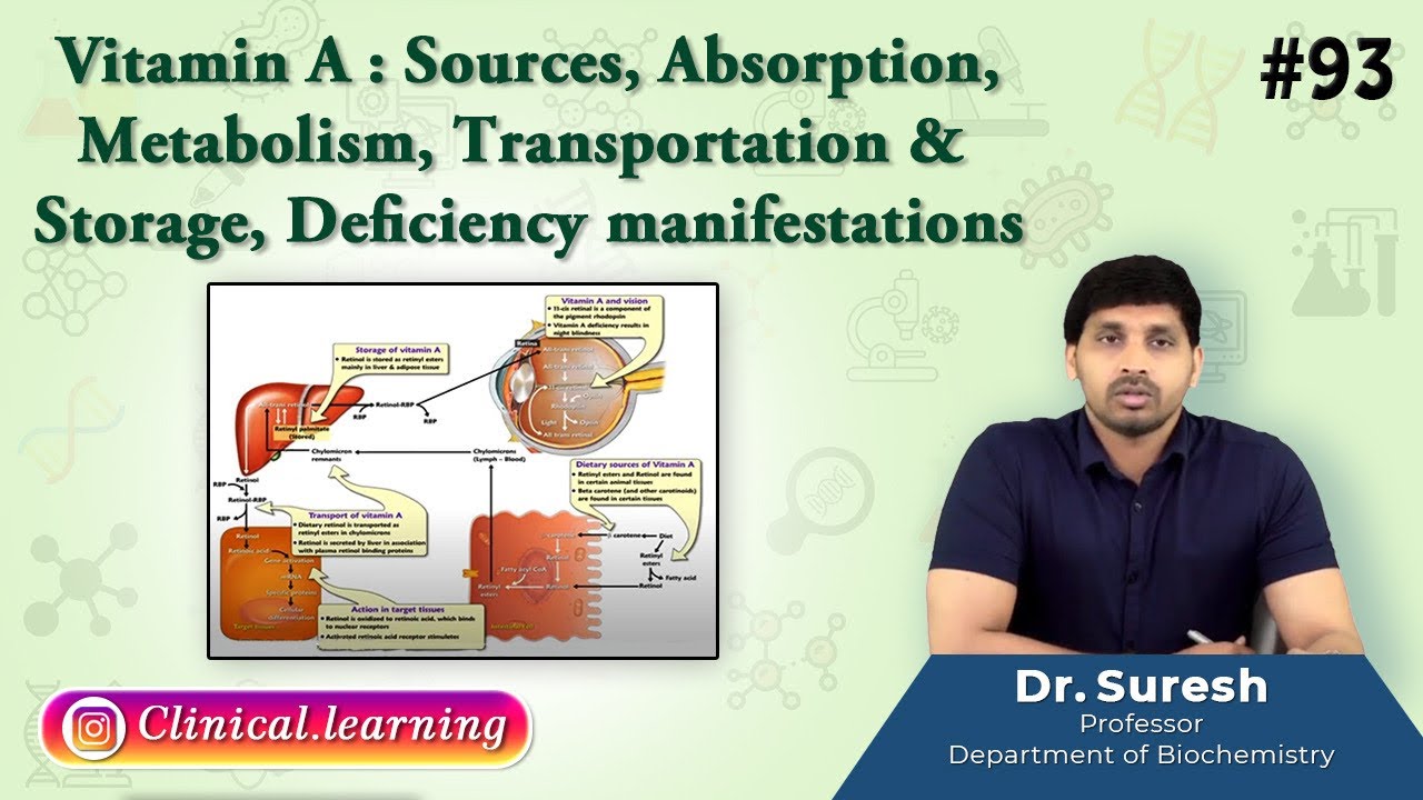 93. Vitamin A : Sources, Absorption, Metabolism, Transportation & Storage, Deficiency manifestations