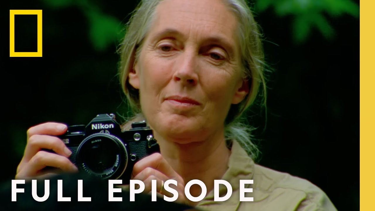 JANE GOODALL: AN INSİDE LOOK (FULL EPİSODE) | NATİONAL GEOGRAPHİC
