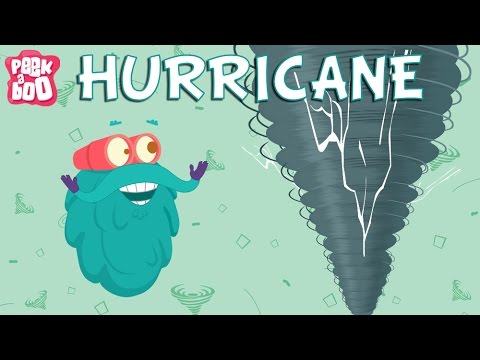 Hurricane   The Dr Binocs Show   Educational Videos For Kids