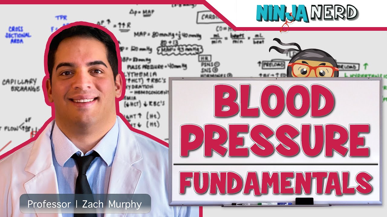 CARDİOVASCULAR | FUNDAMENTALS OF BLOOD PRESSURE