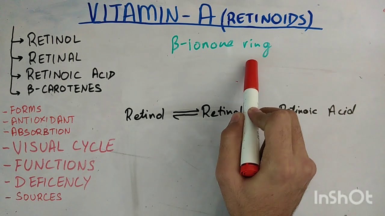 biochem of vitamin A part 1 of 2