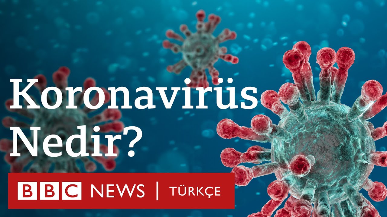 Korona virüsü (corona virus) nedir, nasıl korunulur?