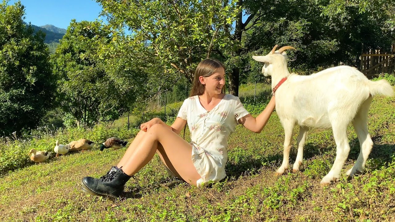 A Magical Day in our Permaculture Food Forest: How Two Goats Changed Everything