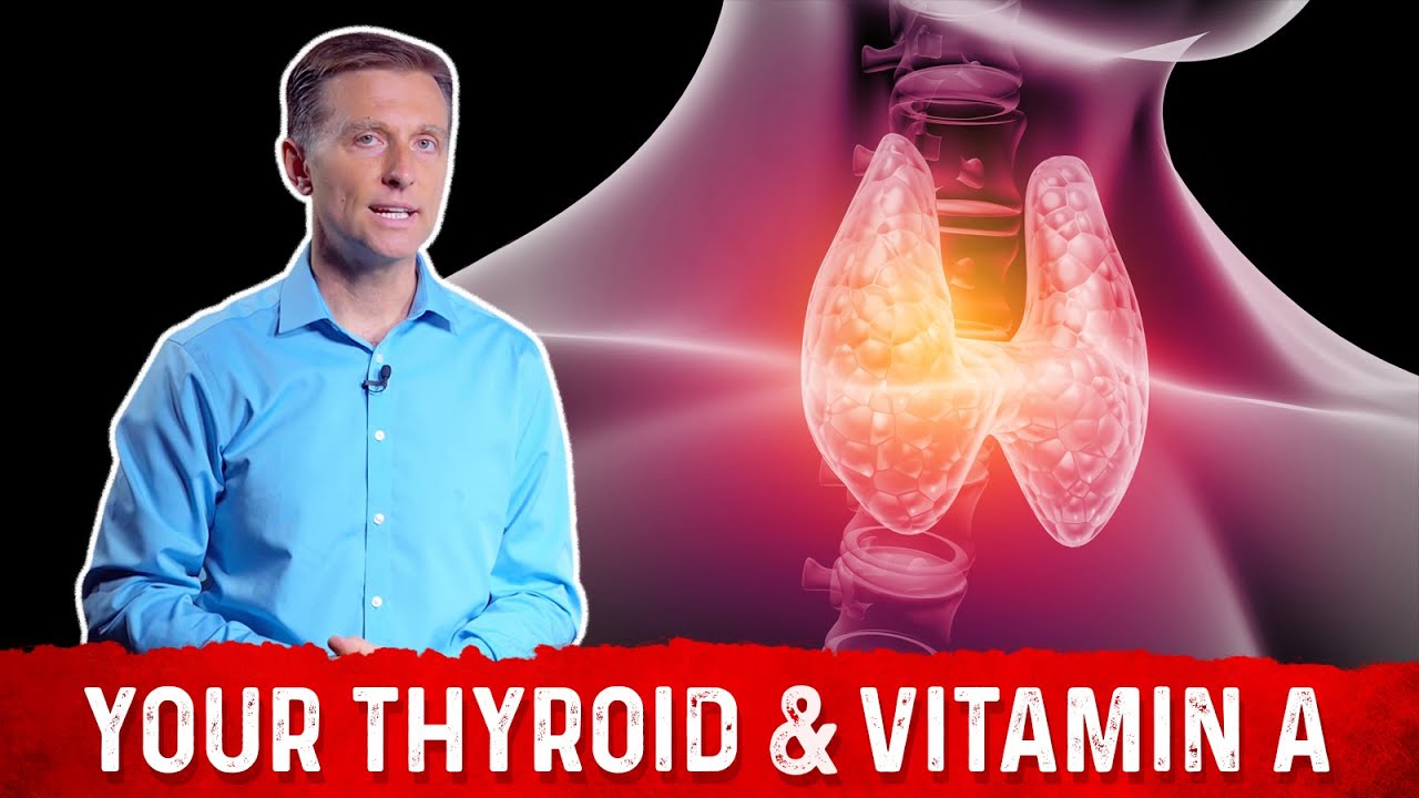 THYROİD  IMPORTANCE OF VİTAMİN A – DR.BERG
