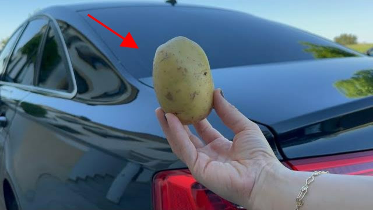 HAVİNG 1 POTATO İN YOUR CAR  COULD SAVE YOUR LİFE AND NOBODY TOLD YOU