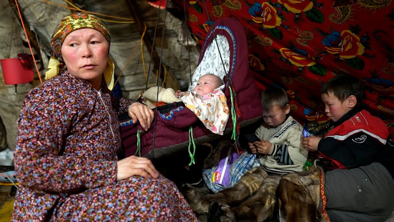 HOW PEOPLE SURVİVE İN FAR NORTH OF RUSSIA? YAMAL. NOMADS NENETS