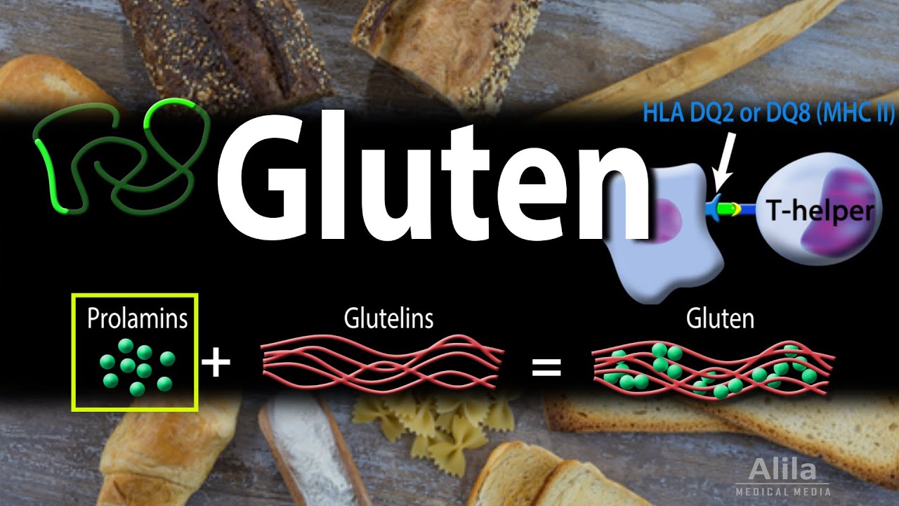 GLUTEN AND GLUTEN-RELATED DİSORDERS, ANİMATİON