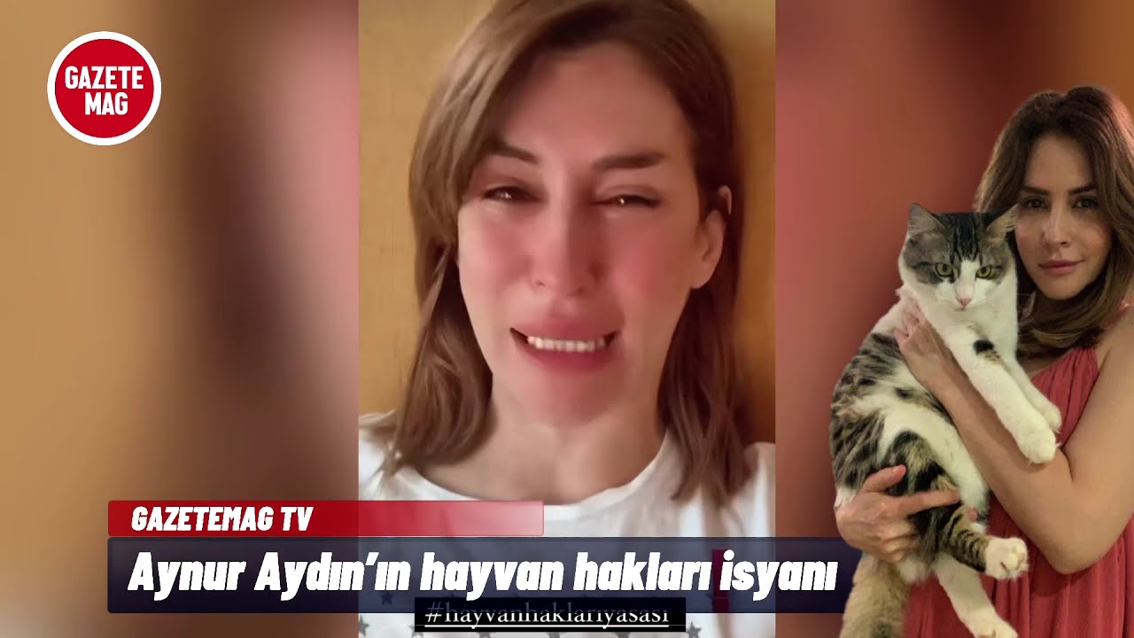 Aynur Aydın’ın hayvan hakları yasası isyanı!