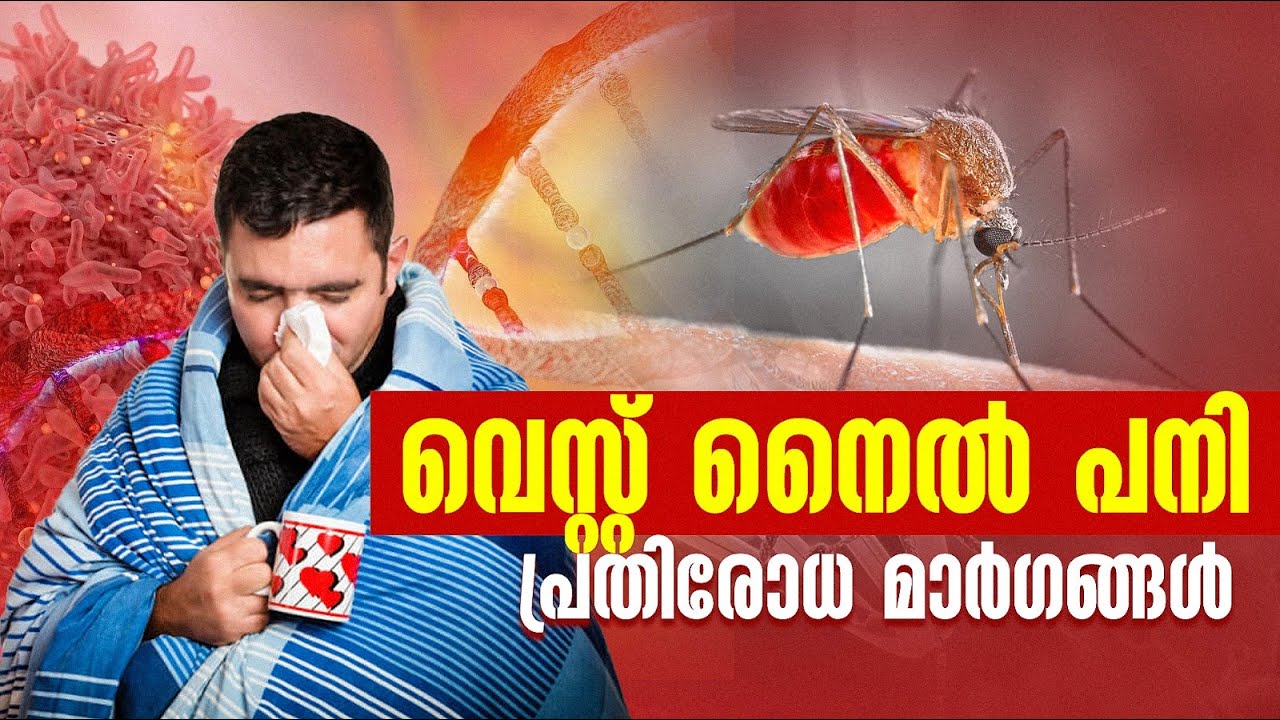 വെസ്റ്റ് നൈൽ പനി  പ്രതിരോധ മാർഗങ്ങൾ   West Nile Fever   Health and Glow