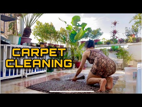 CARPET CLEANING 'SEXY' (4K VIDEO)