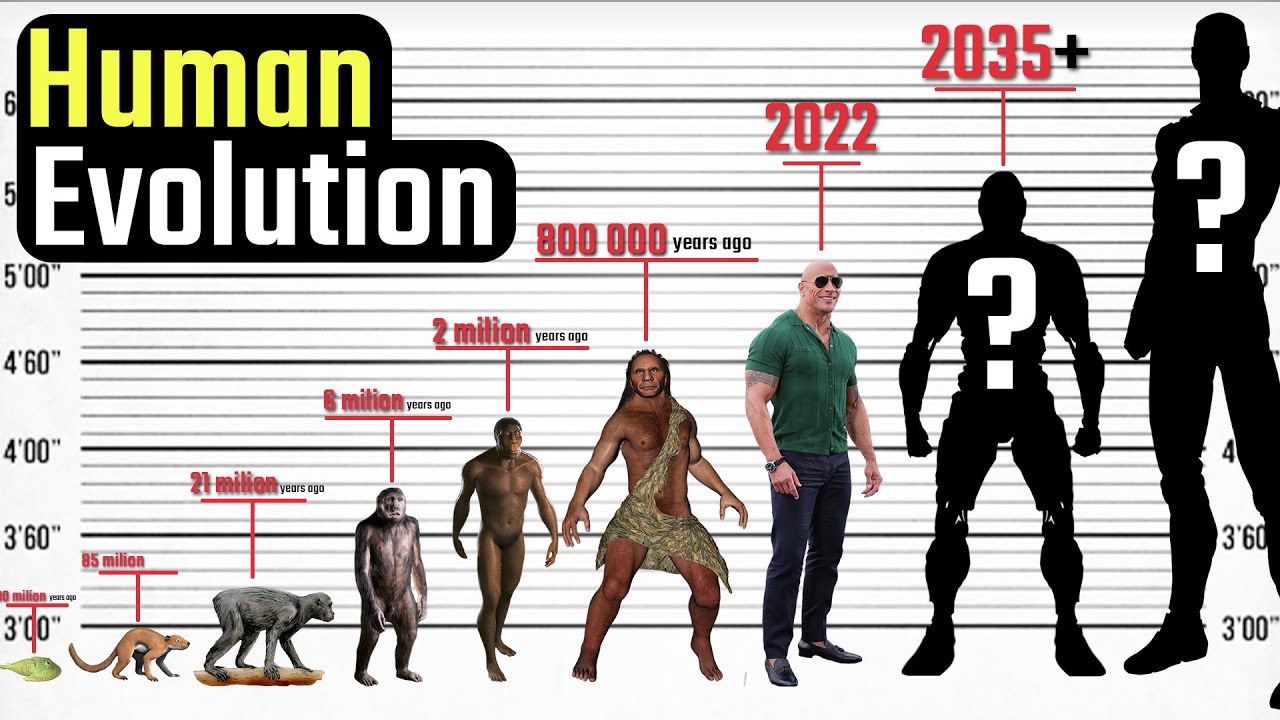 human-evolution