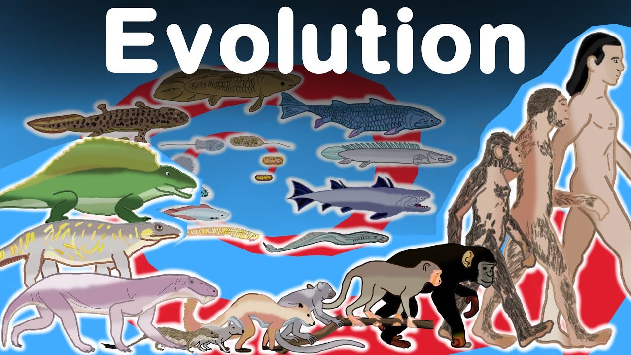 awesome-human-evolution-timelapse