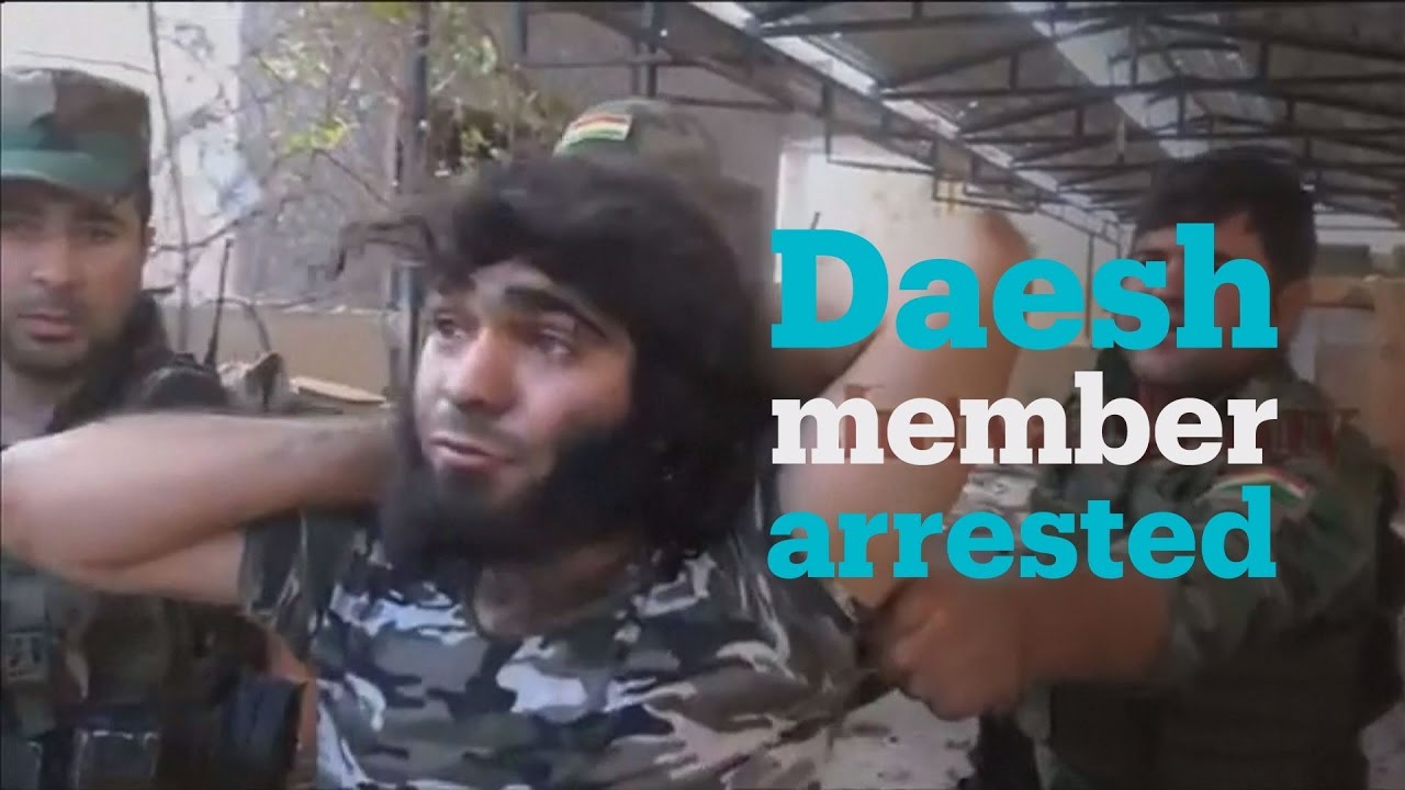 Watch this Daesh member surrender to Peshmerga