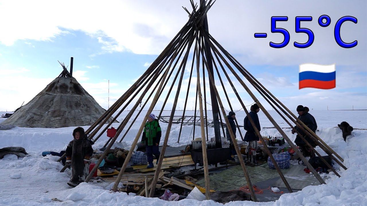 Far North Survival.  Building the dwelling of the Nenets - CHUM???? Reindeer migration to the Arctic