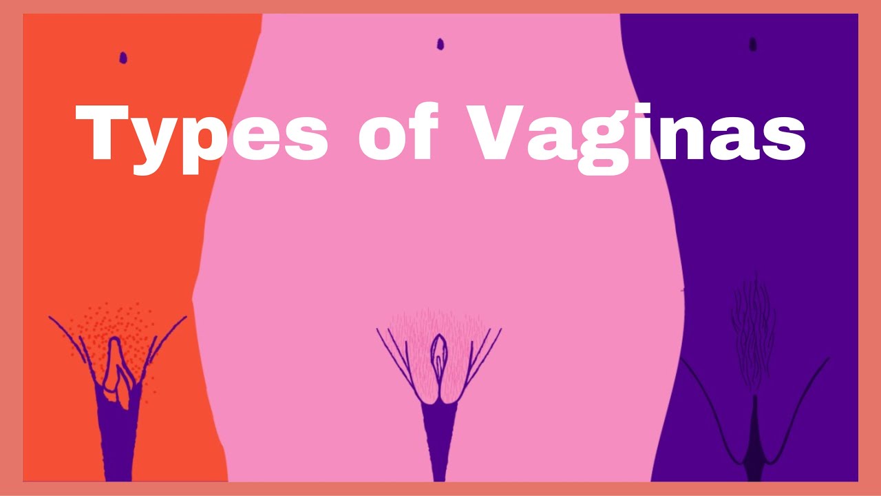 vagina