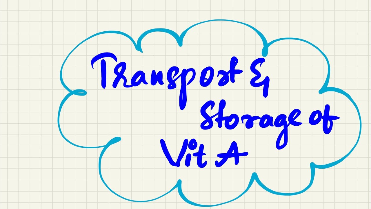 Transport and storage of vit A|| biochemistry || ganglion