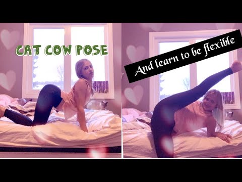 Cat cow pose(learn to be flexible)