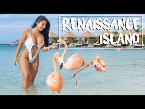 RENAISSANCE PRIVATE ISLAND, the BEST PLACE to see FLAMINGOS | El MEJOR LUGAR para ver FLAMENCOS 