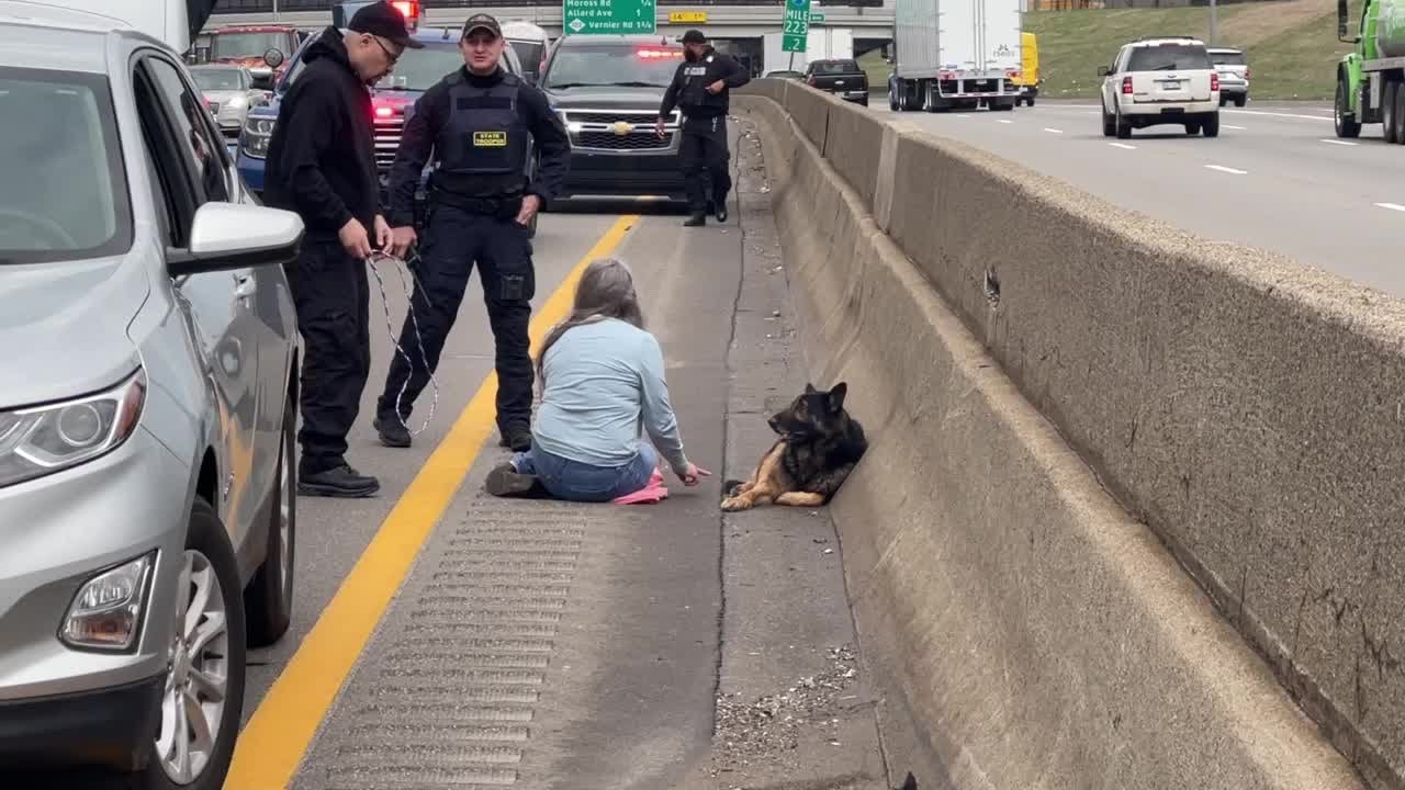 WATCH: Good Samaritan saves German Shepherd found on westbound I-94