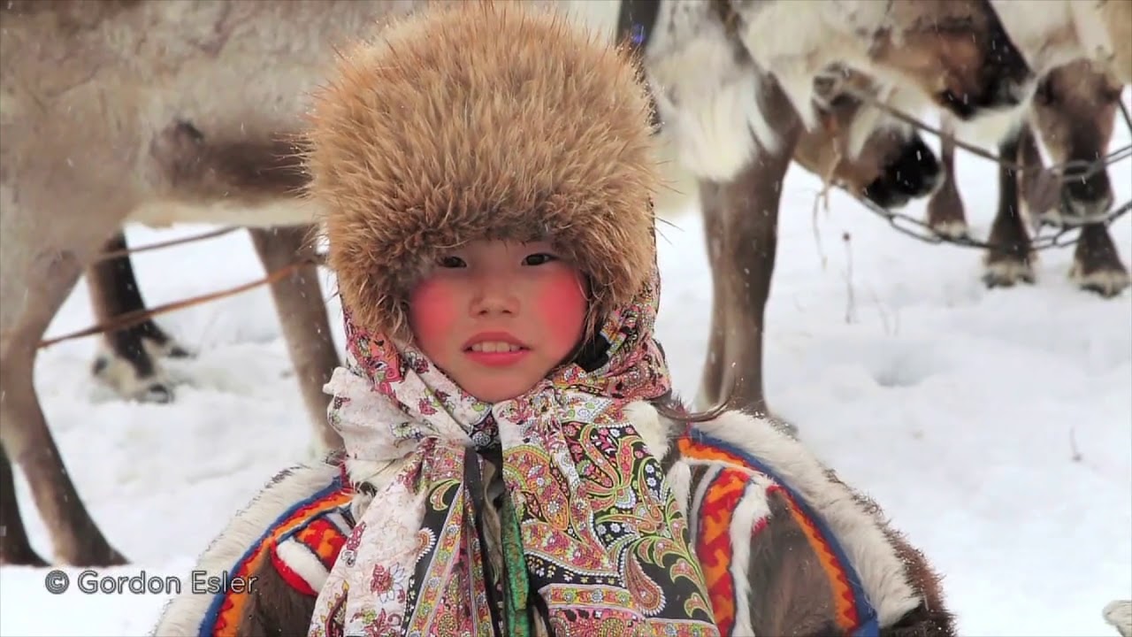Siberia: A reindeer migration with the Nenets