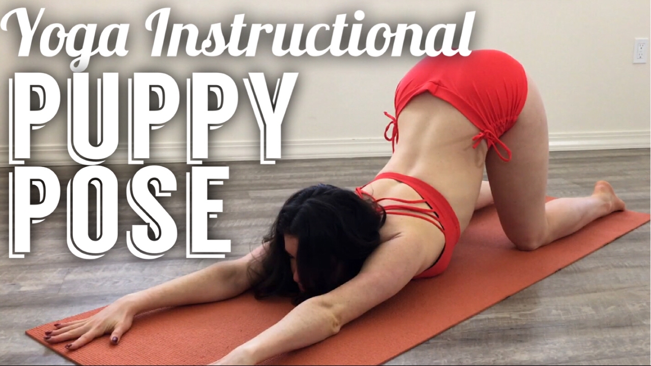 yoga ınstructional | puppy pose