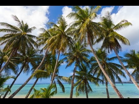 Guam Paradise