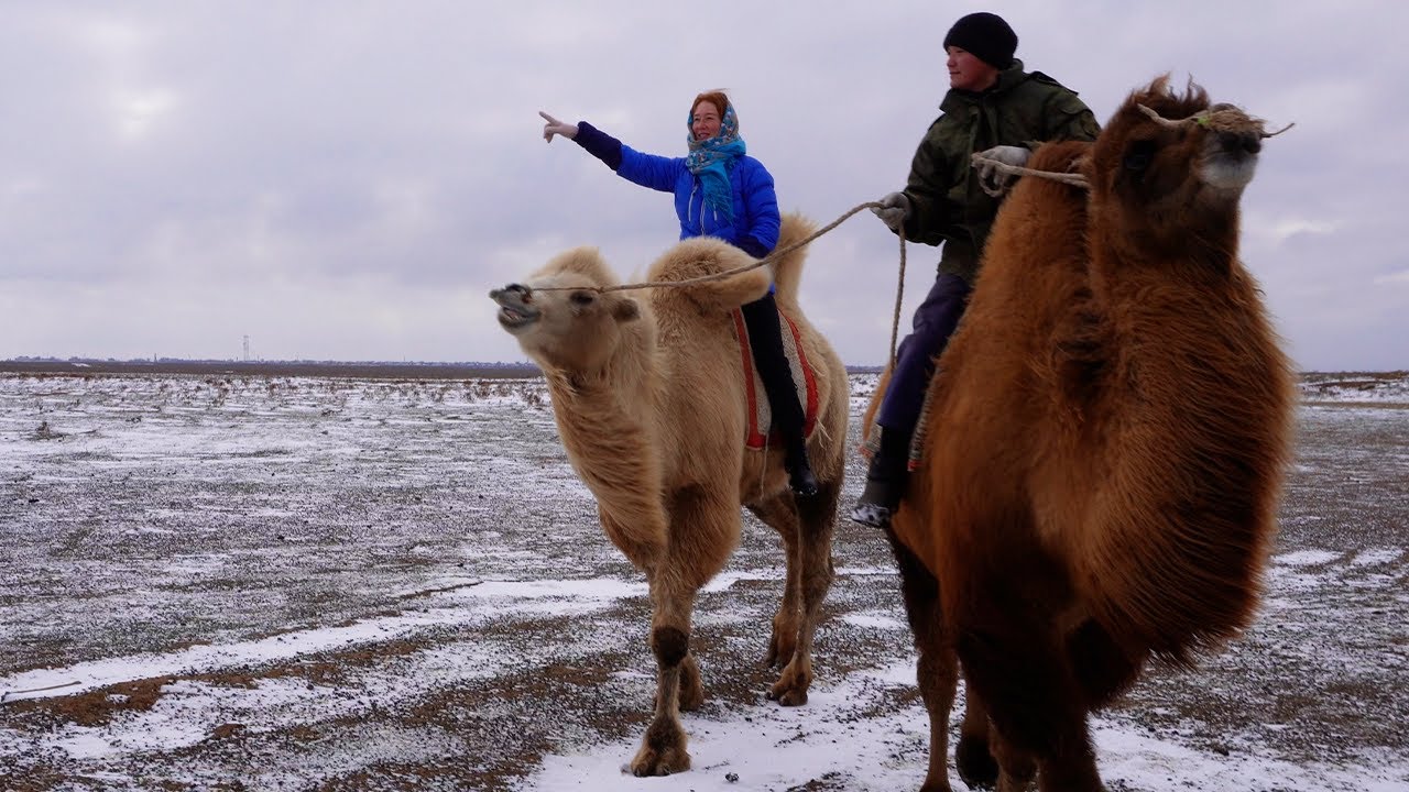 Traveling through Eastern Europe's Buddhist republic... on a camel