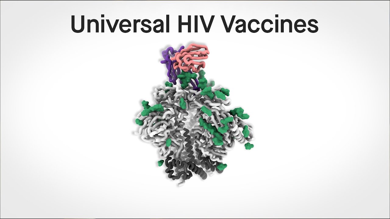 The search for universal vaccines: HIV