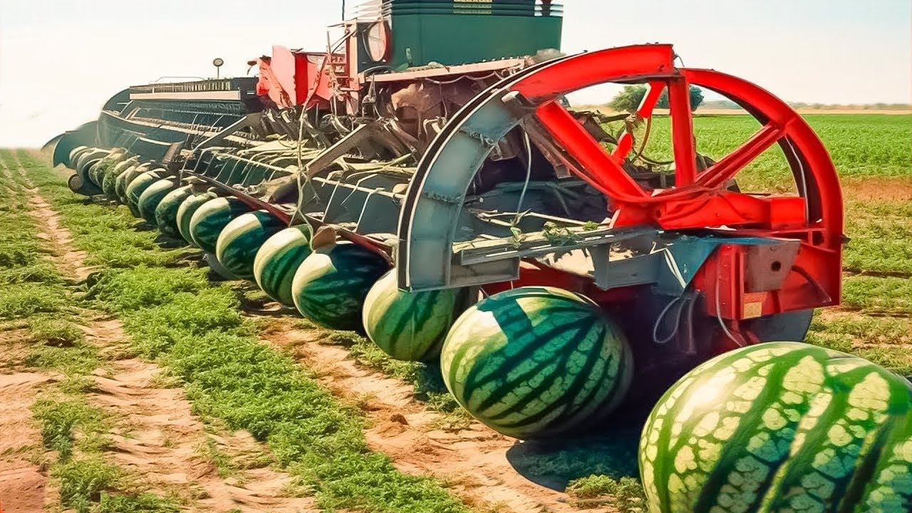 FARMERS USE FARMİNG MACHİNES YOU'VE NEVER SEEN - INCREDİBLE INGENİOUS AGRİCULTURE INVENTİONS ▶2