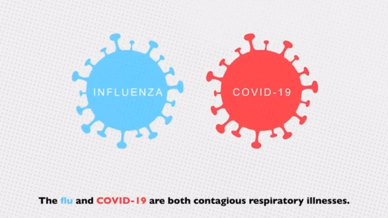 Flu and COVID-19: Similarities and Differences