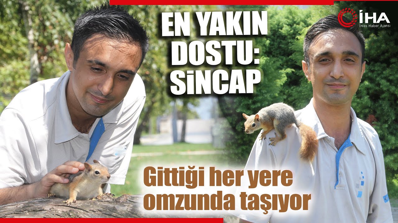 bahcede-buldugu-sincap-en-yakin-arkadasi-oldu