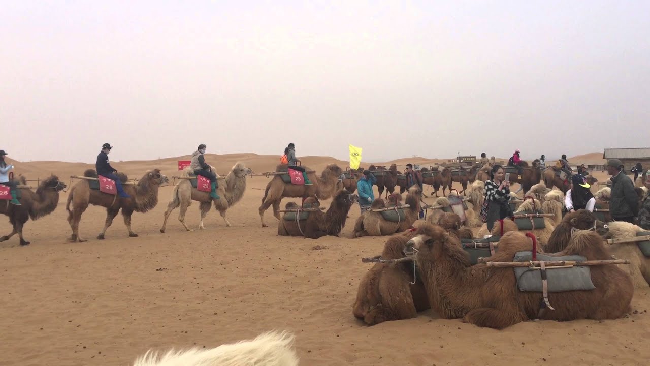 Ningxia Trip Overview