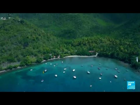 GUADELOUPE: TREASURES OF THE BUTTERFLY ARCHİPELAGO • FRANCE 24 ENGLİSH