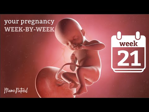 21 WEEKS PREGNANT - NATURAL PREGNANCY WEEK-BY-WEEK