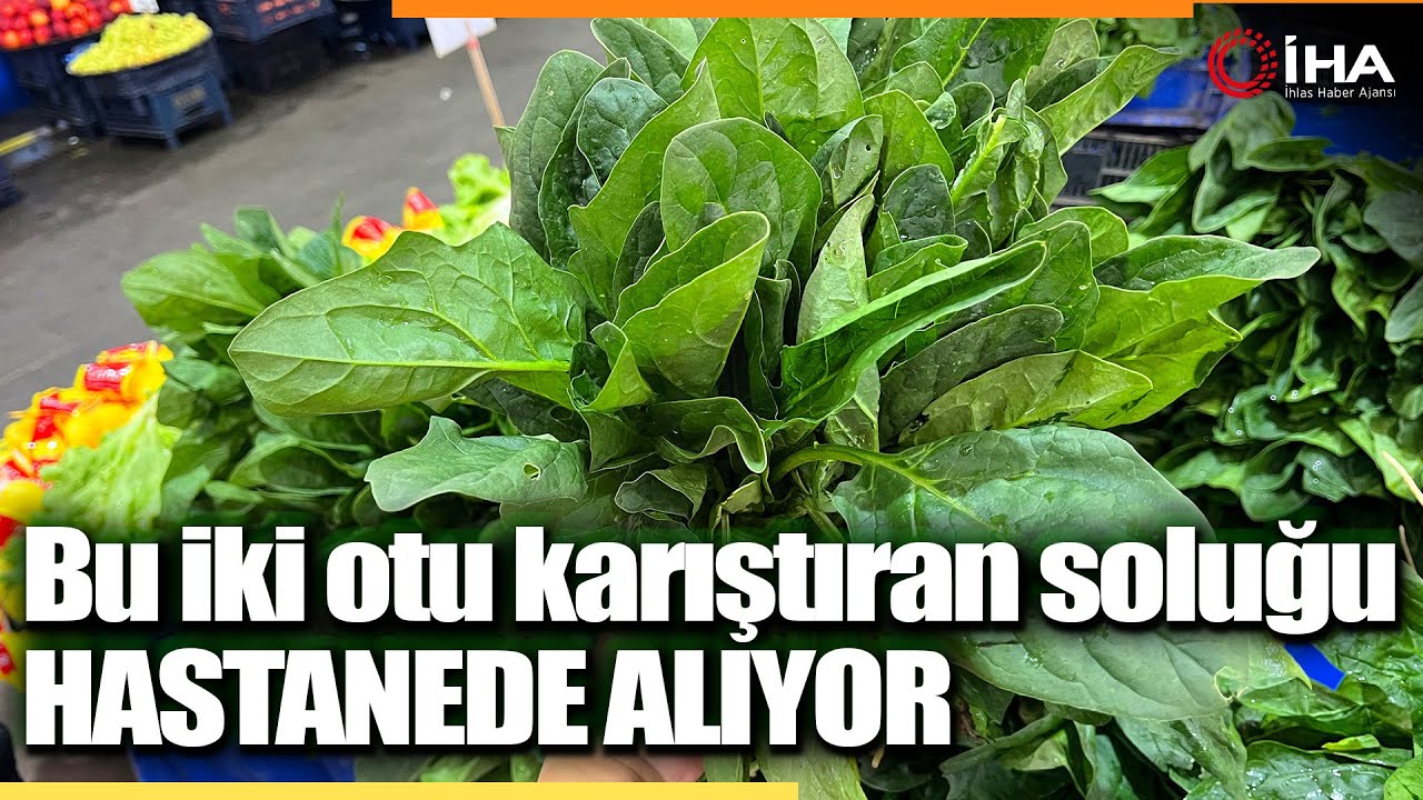 bu-iki-otu-karistiranlar-olumcul-sonuclara-yol-acabiliyor