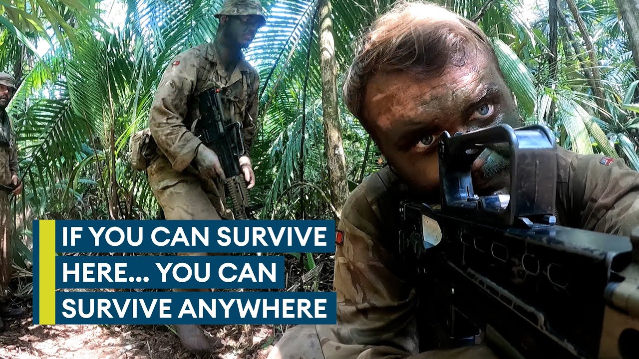 Welcome to the jungle: The British Army's brutal Belize jungle training