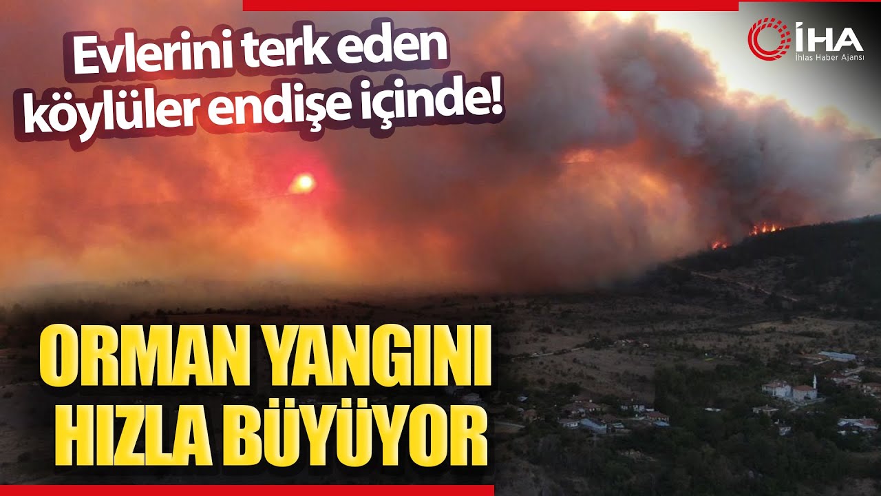 orman yangını