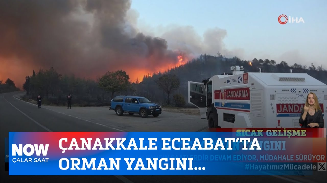 orman yangını