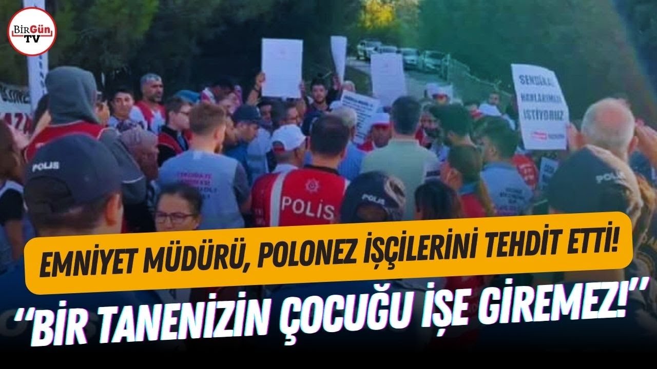 polonez işçileri