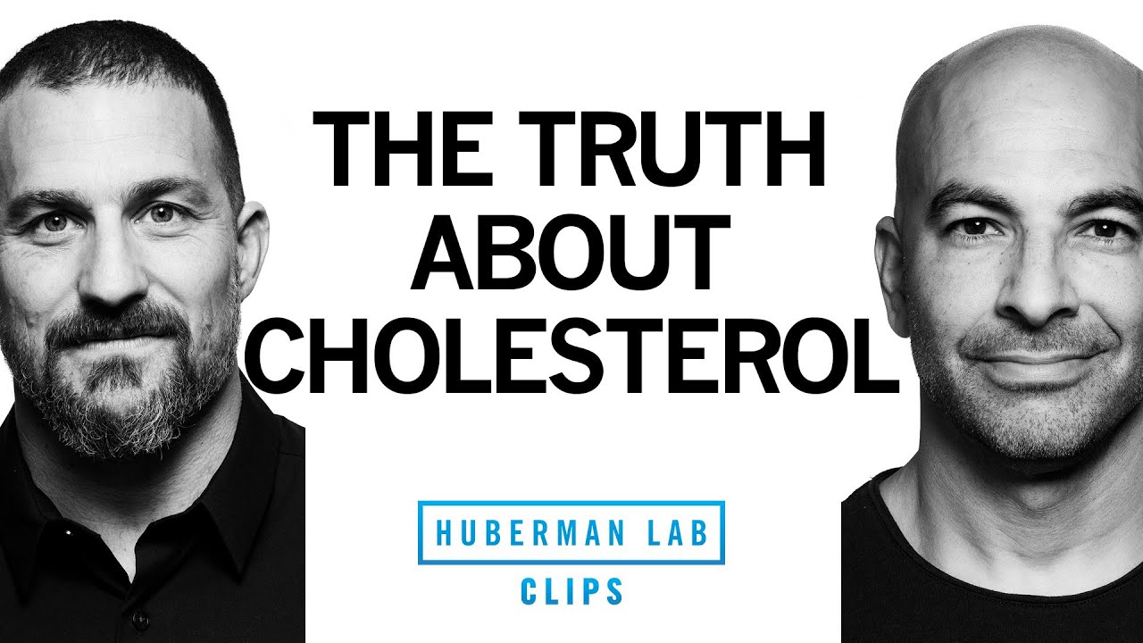 THE TRUTH ABOUT DİETARY CHOLESTEROL | DR. PETER ATTİA  DR. ANDREW HUBERMAN