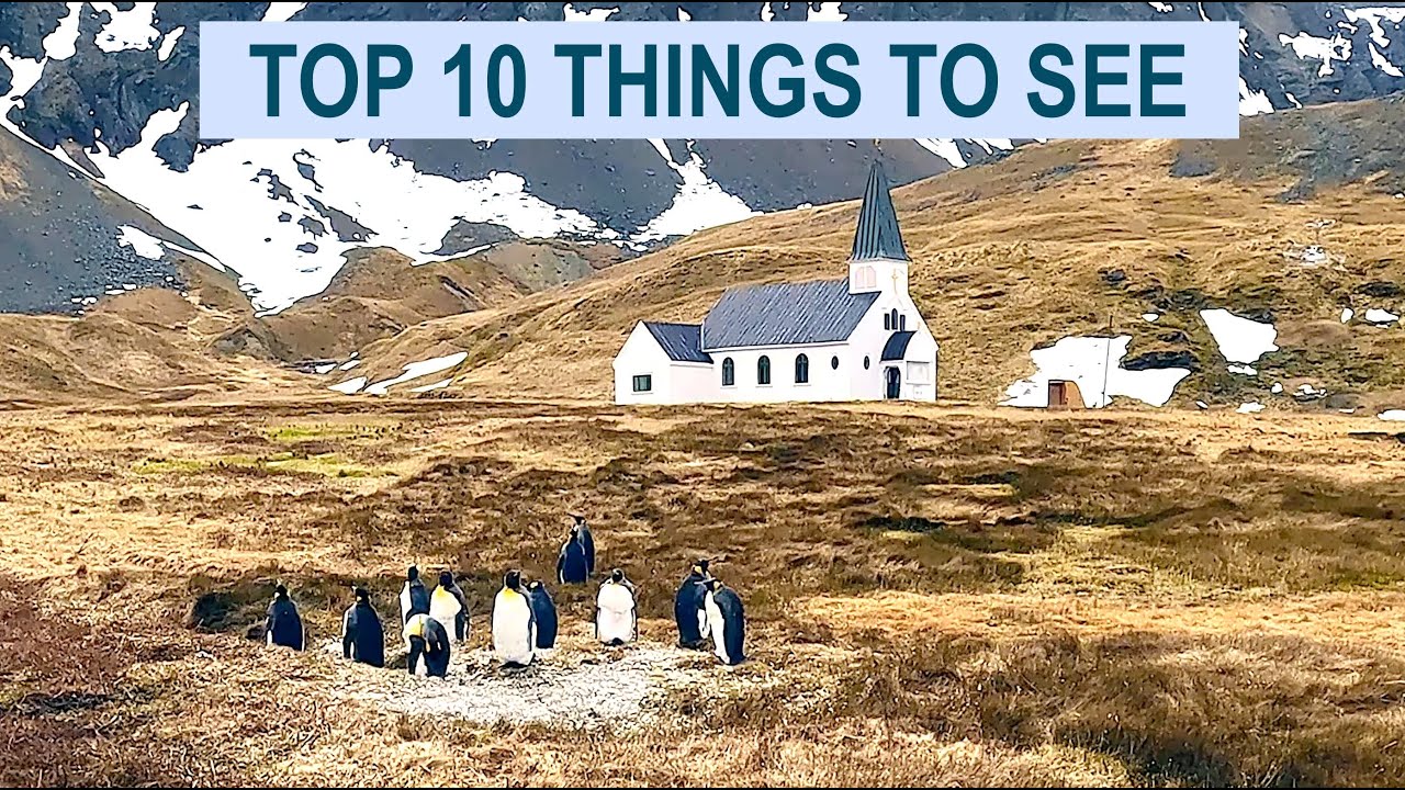 GRYTVIKEN WHALING STATION, SOUTH GEORGIA - TOP 10 THINGS TO SEE