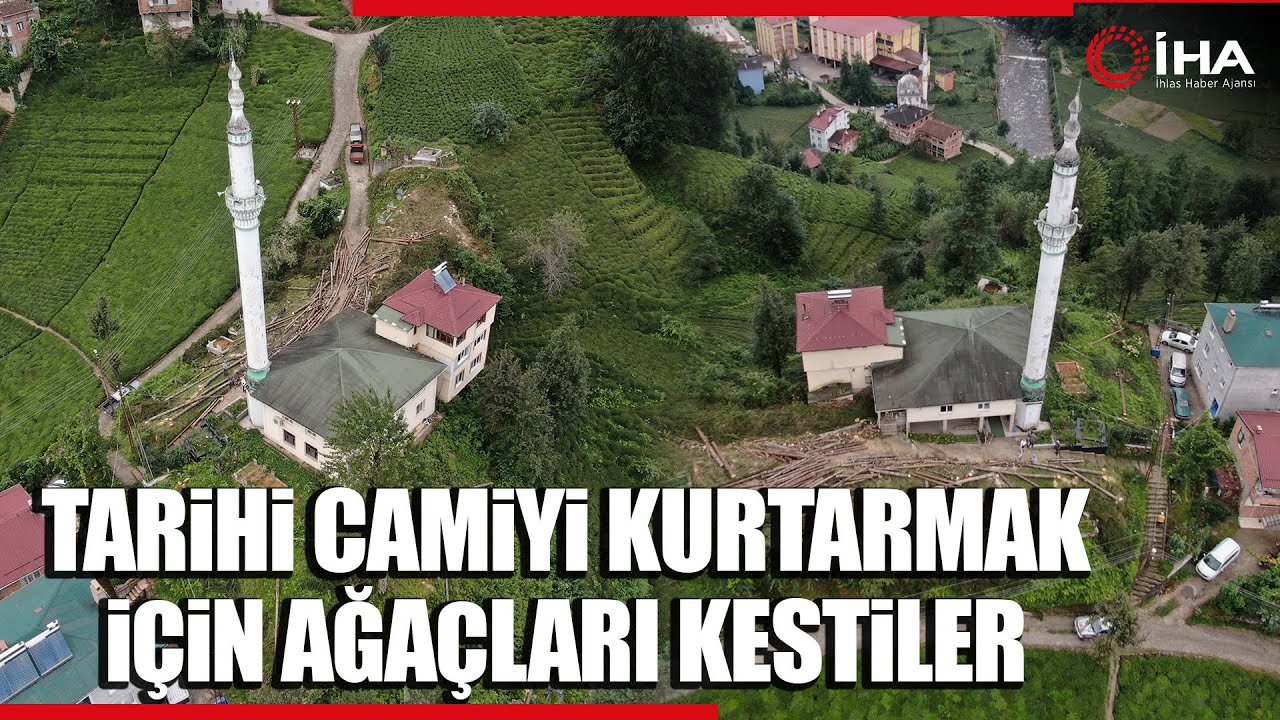  Yıllık Camiyi Kurtarmak İçin Çevresindeki Ağaçları Kestiler