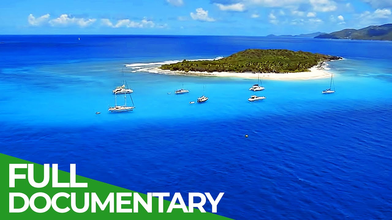 THE BRİTİSH VİRGİN ISLANDS - PEARL OF THE CARİBBEAN | FREE DOCUMENTARY NATURE