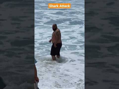 SHARK ATTACK İN THE PACİFİC OCEAN #TRAVEL #SUBSCRİBE #SHARK #SHORTS #COMEDY
