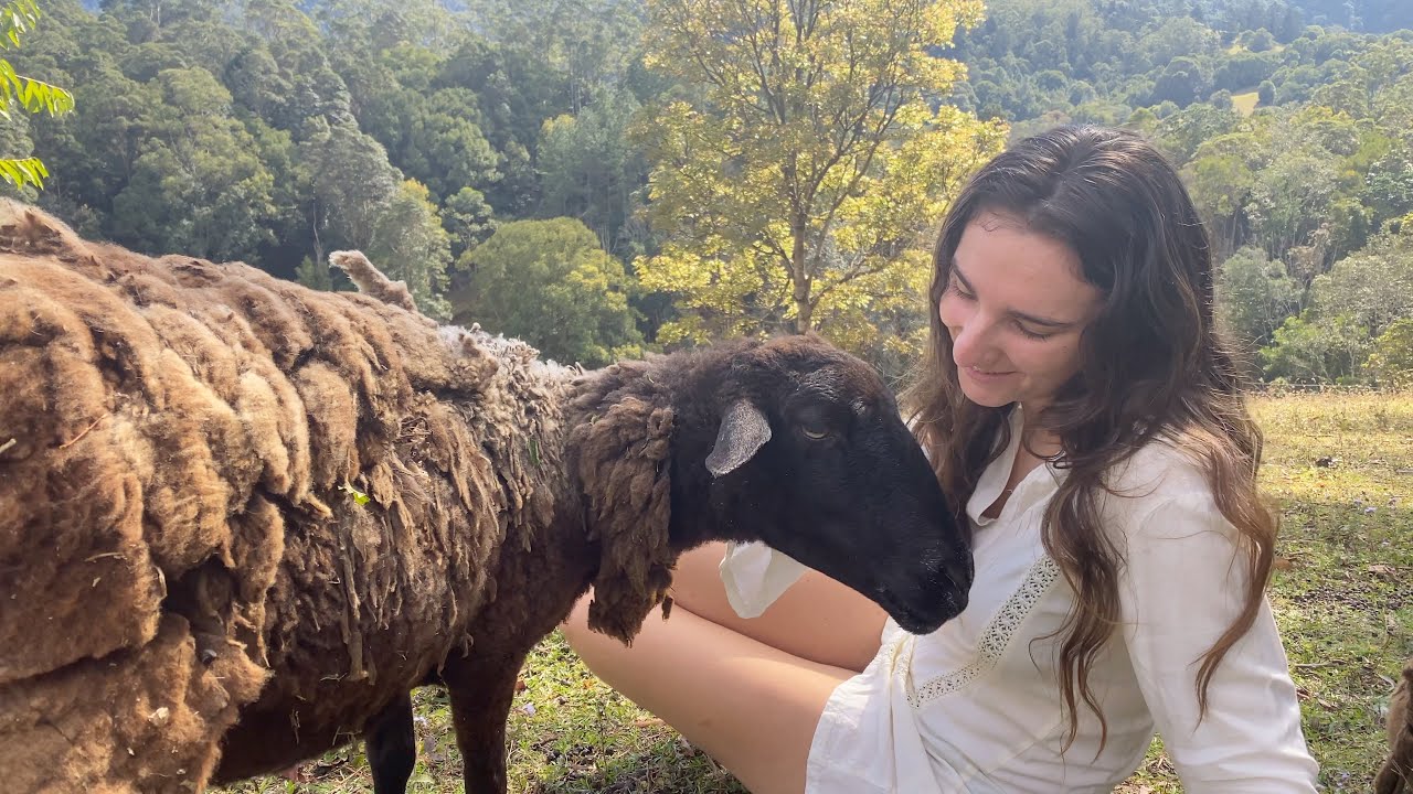 Our Morning Routine: A Joyful Slow Life of Caring for Animals and Picking Fruit