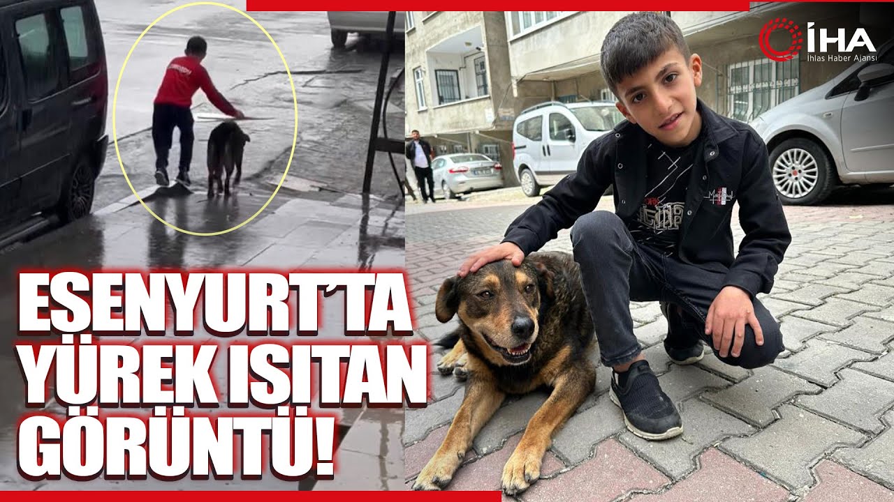 Yağmurda Köpeği Islamaktan Koruyan Ayaz O Anları Anlattı