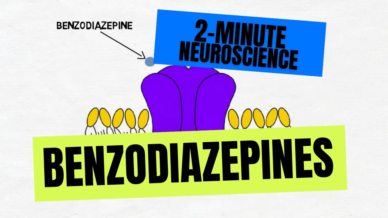 2-minute-neuroscience-benzodiazepines