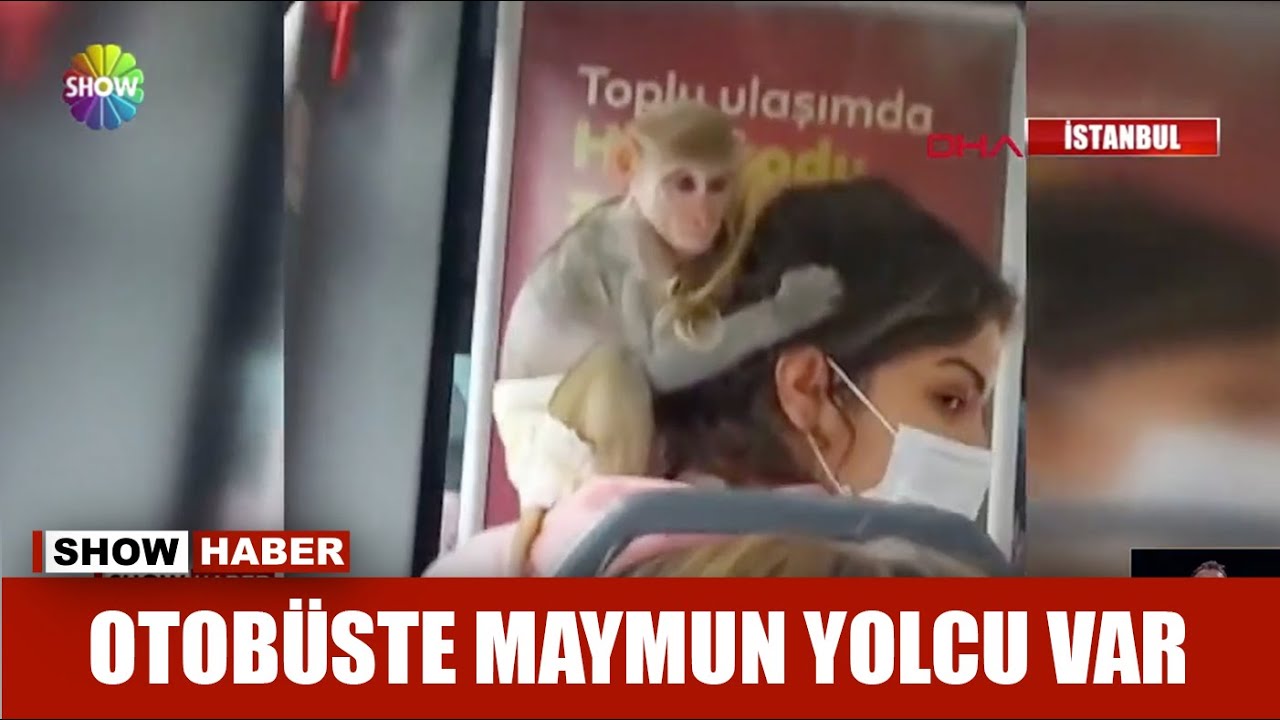 İstanbul'da bir kadın, İETT otobüsüne maymunla bindi